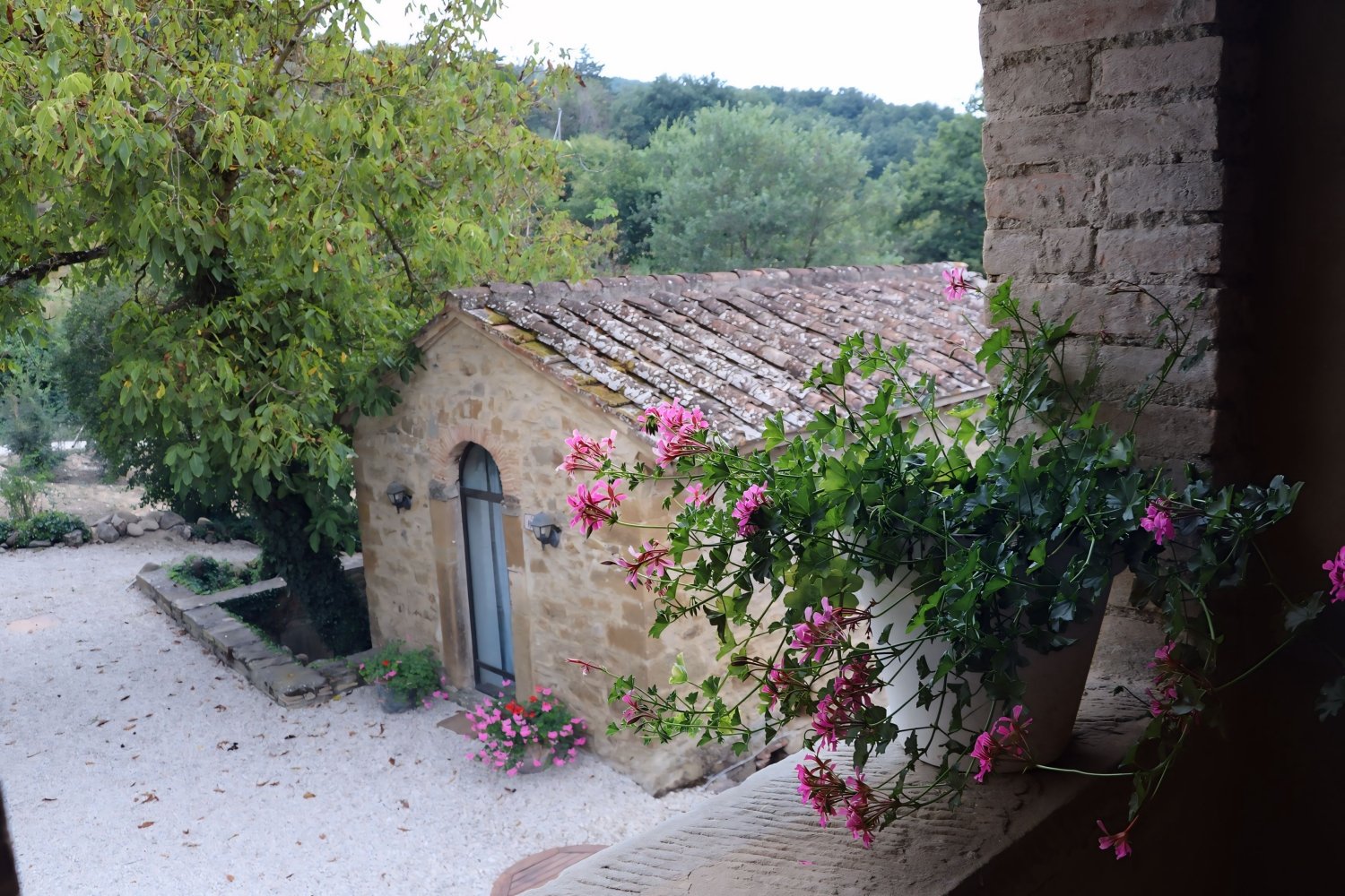 Tuscany - Fattoria Casalino - La Chiesina 2