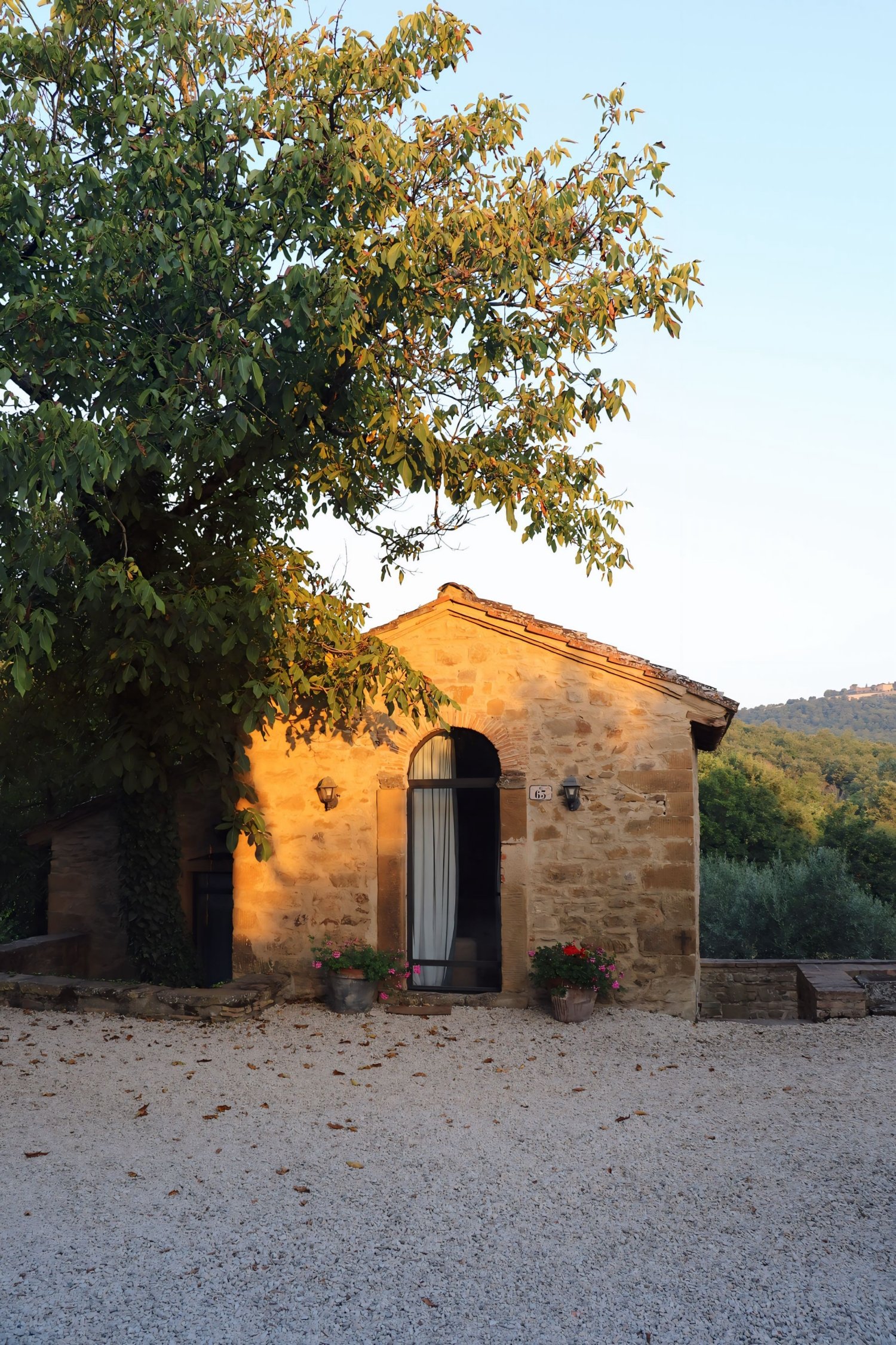 Tuscany - Fattoria Casalino - La Chiesina 4