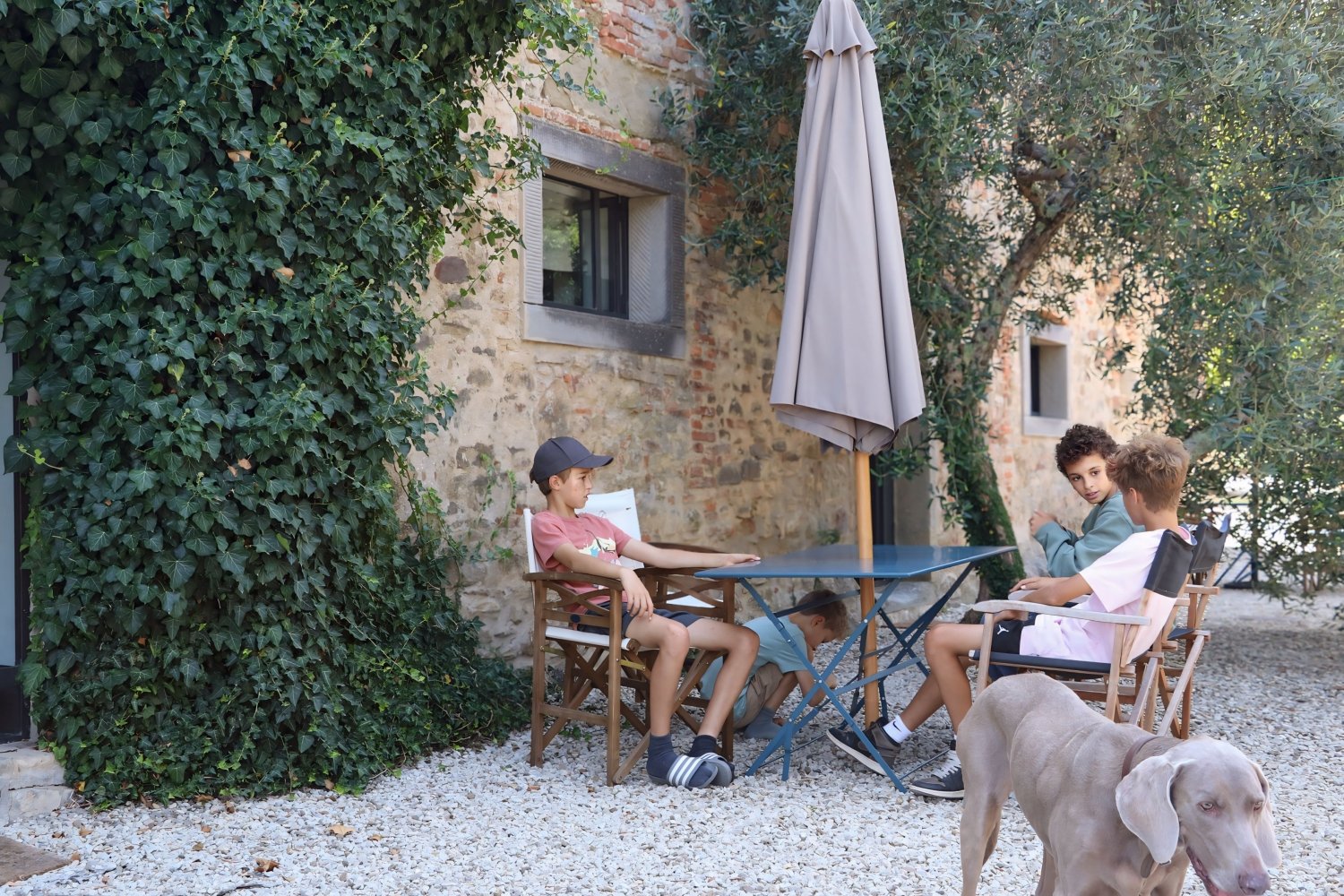 Tuscany - Fattoria Casalino - La Solaia 2