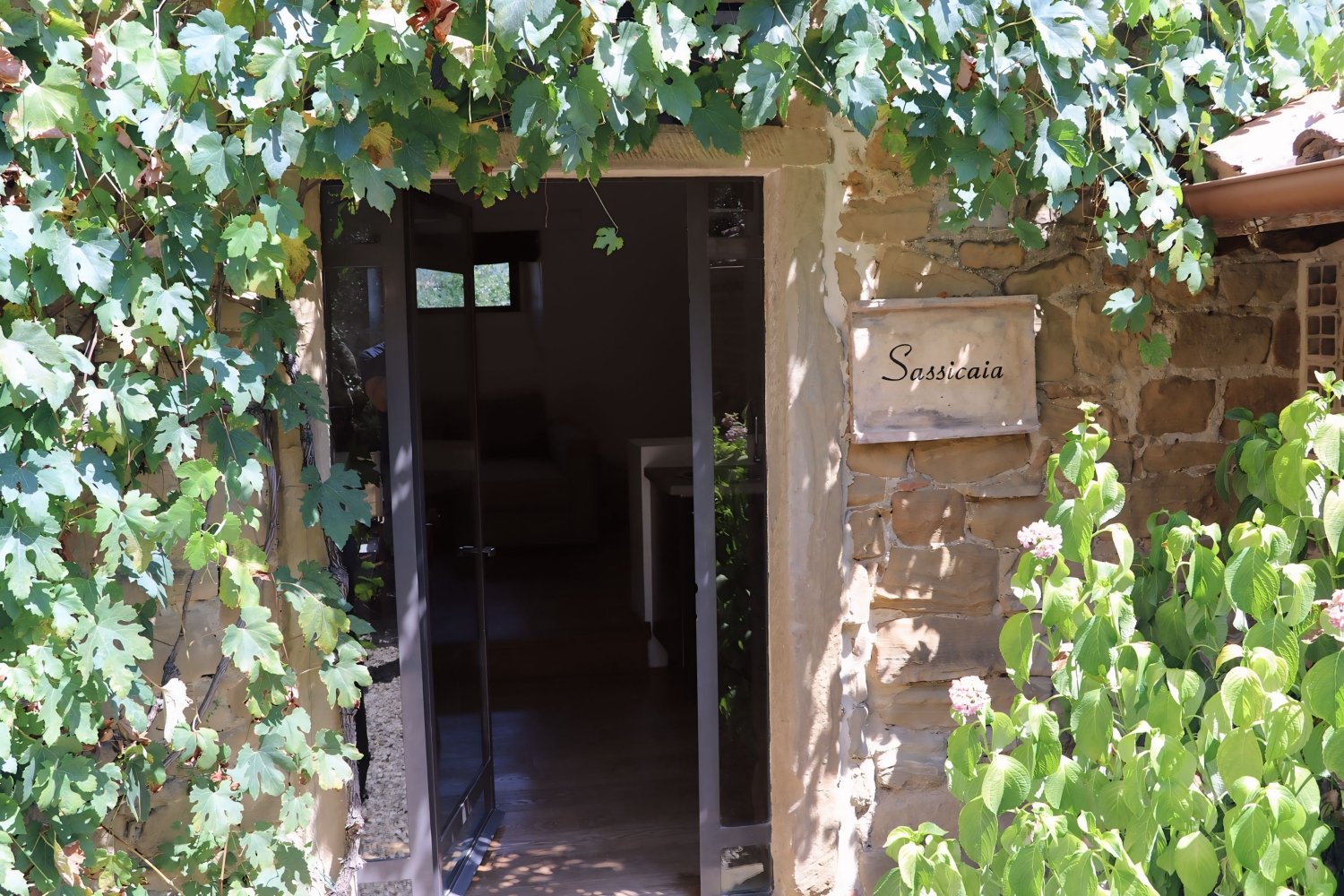 Farmhouse in Tuscany - Fattoria Casalino - La Sassicaia 12