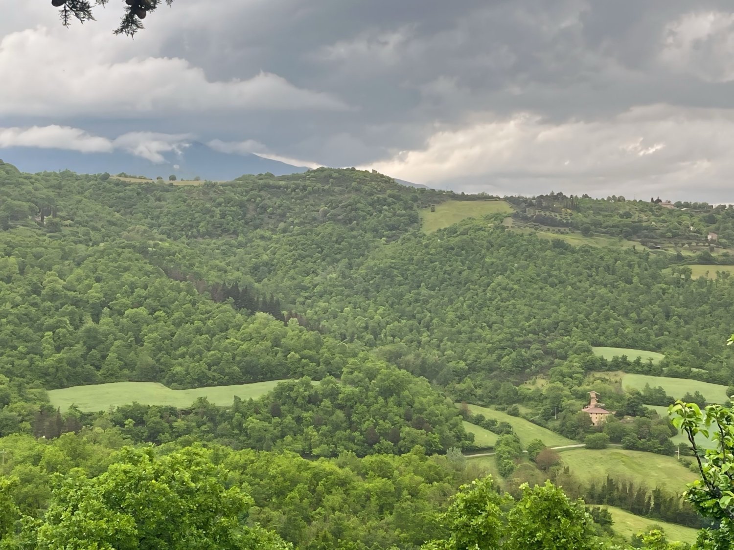 Tuscany - Fattoria Casalino - La Terraza 4