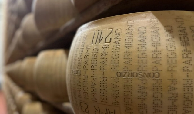 Hundred Flavours of the Apennines